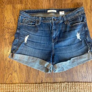 Distressed Denim Shorts Size 1X